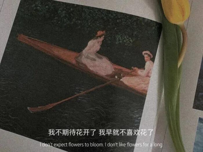 文字控背景图推荐,文字控背景图祝福