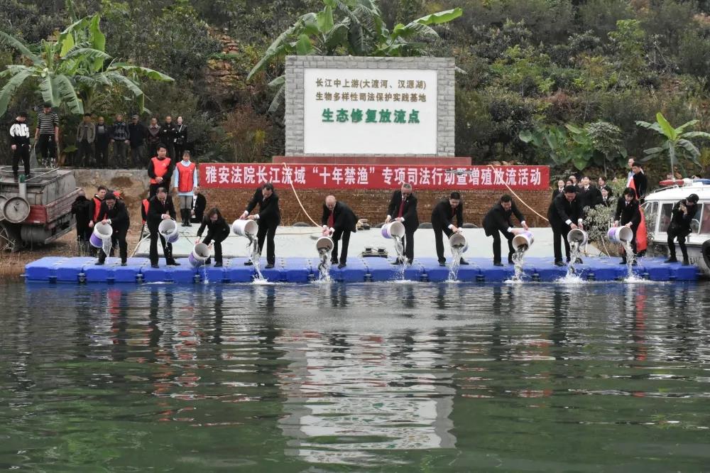 【*会两**看法②】“让我们专心创业、放心投资、安心经营...我为法院点赞！”