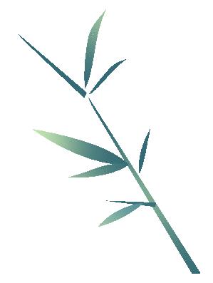 灏忚鍓ф湰绋胯垂,灏忚鍓ф湰寰佺