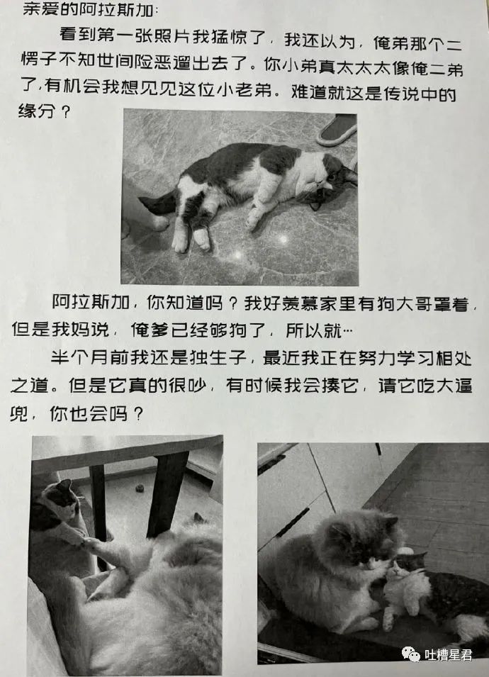 “3W4给女友买战损风上衣...”啊啊啊转身后当场裂开了!