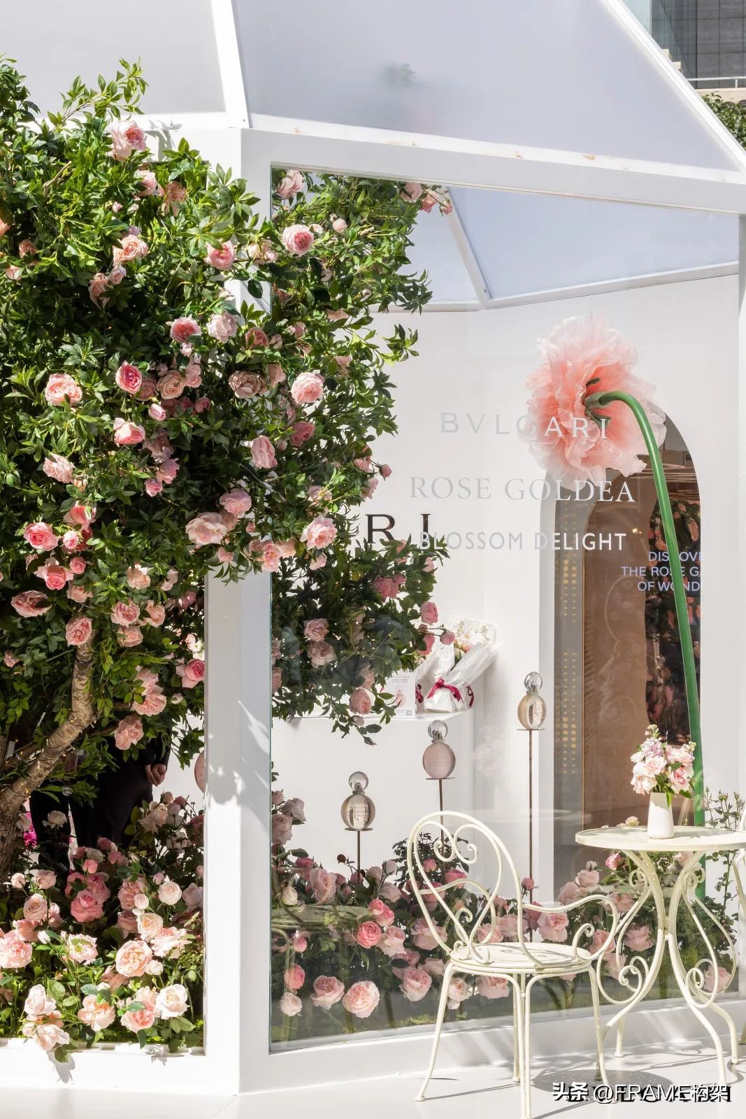 香水市场调查后期展望,中国香水市场消费发展趋势报告