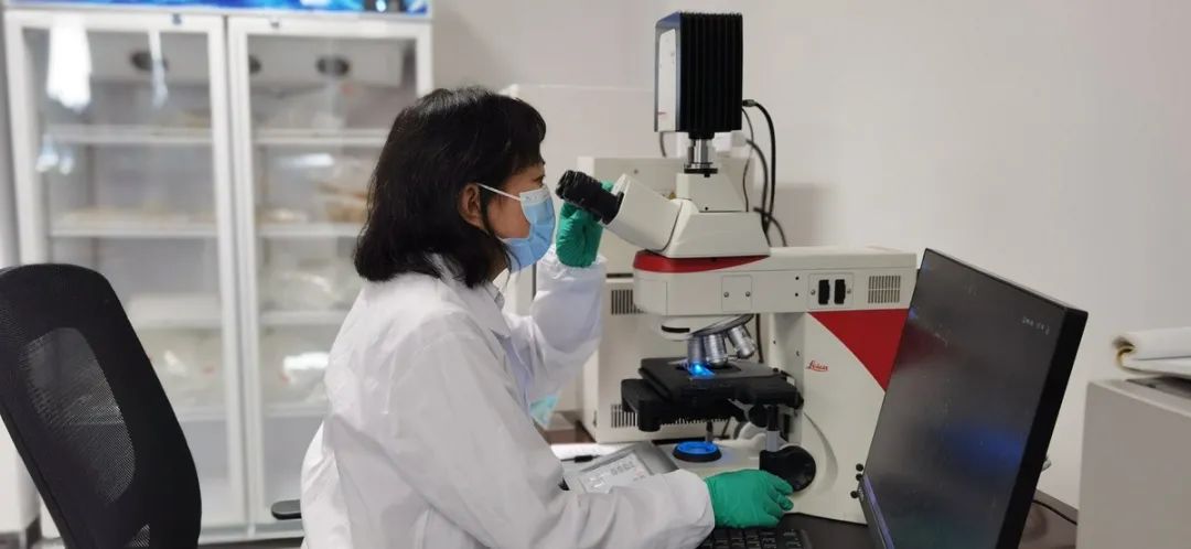 我是党代表完整版,我是党代表纪录片