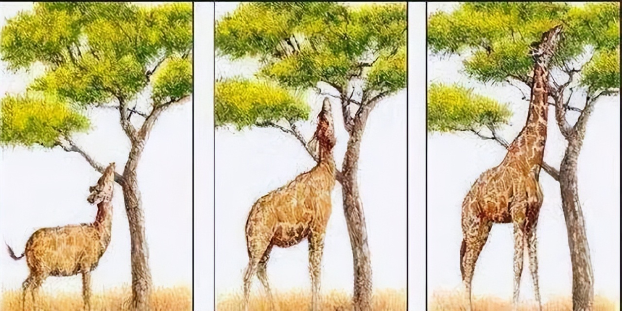 有多少诺贝尔奖得主不相信进化论,为什么越来越多的人不相信进化论