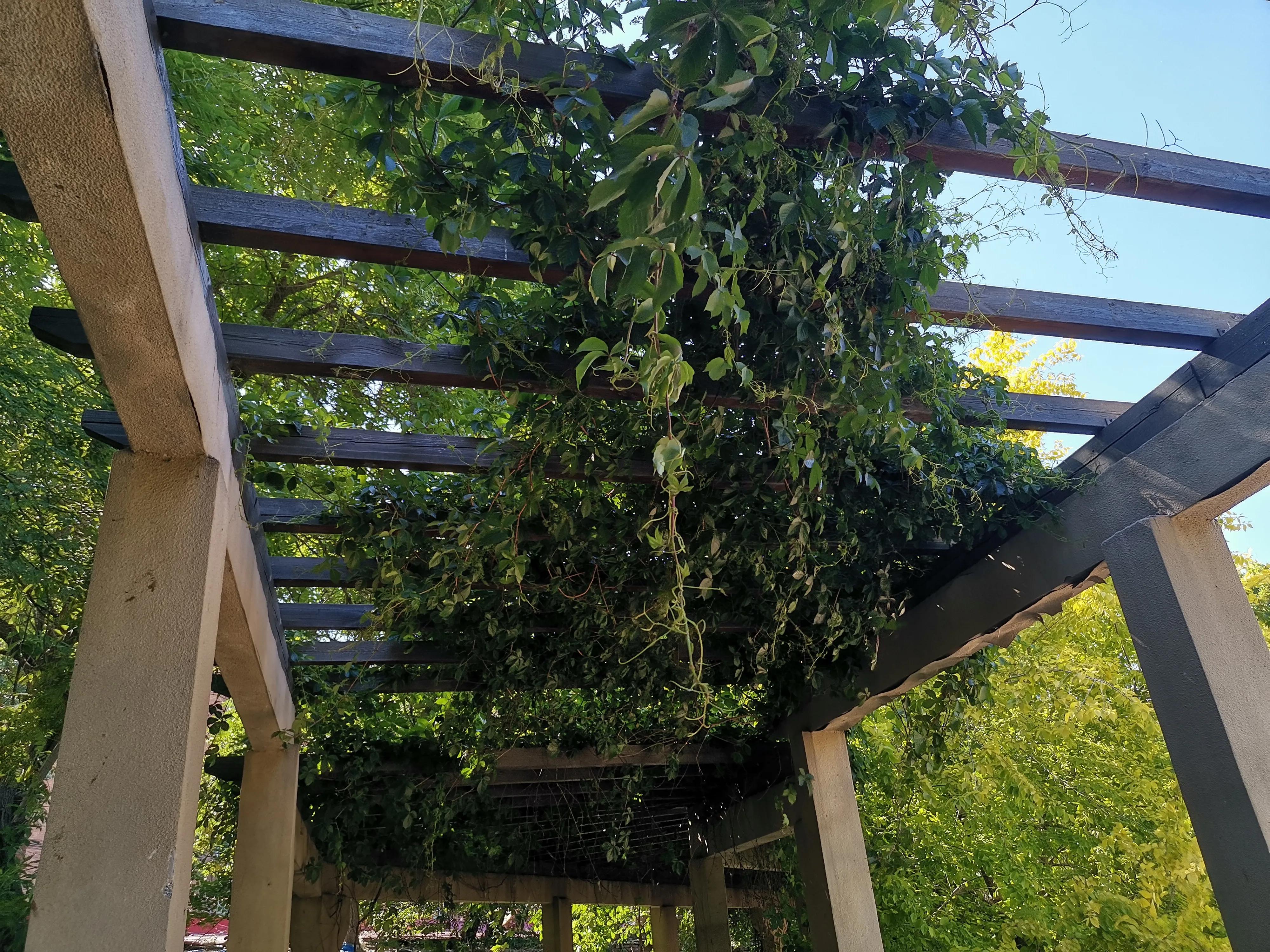 王串场公园有什么,王串场公园地图