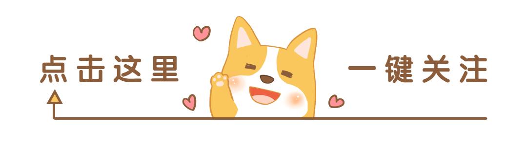 新手养公泰迪还是母泰迪,新手如何养泰迪