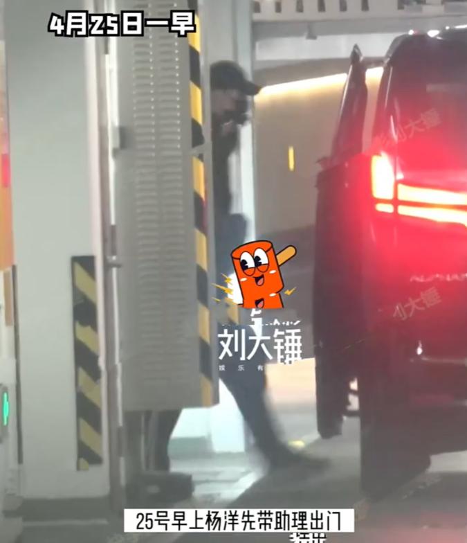 杨洋乔欣和王楚然,乔欣王楚然李沁