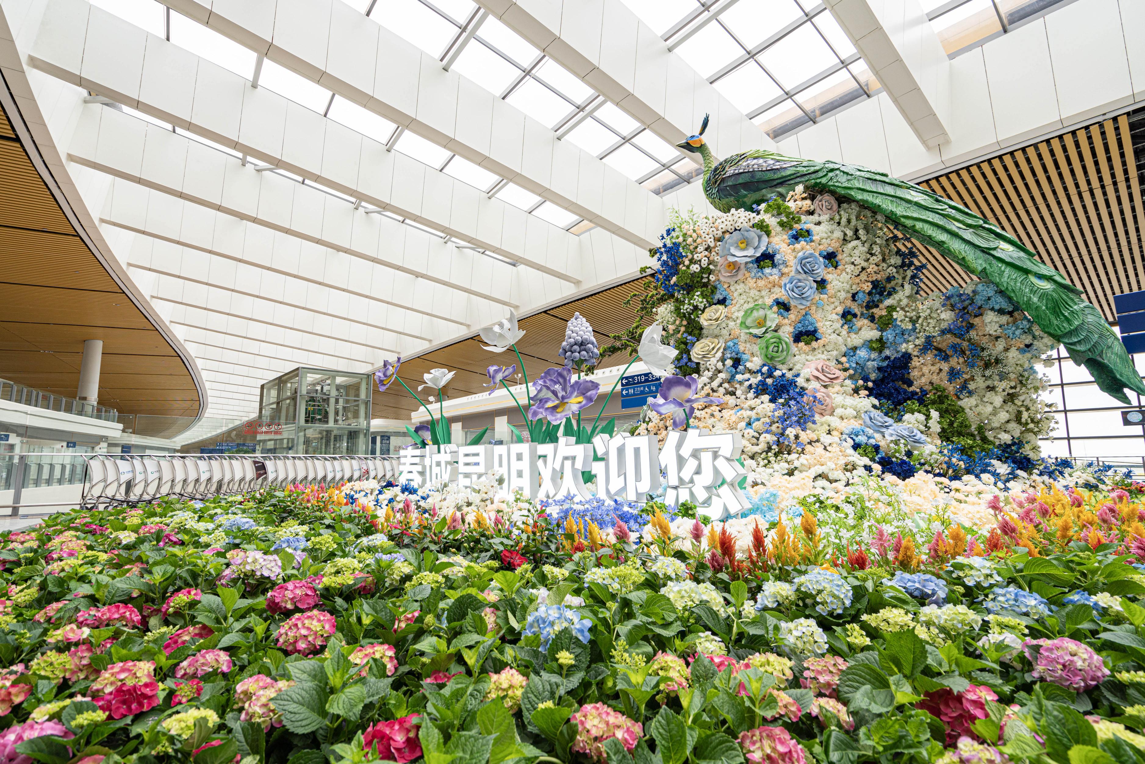 民航执行夏秋航季航班计划,昆明长水机场东方航空航线图