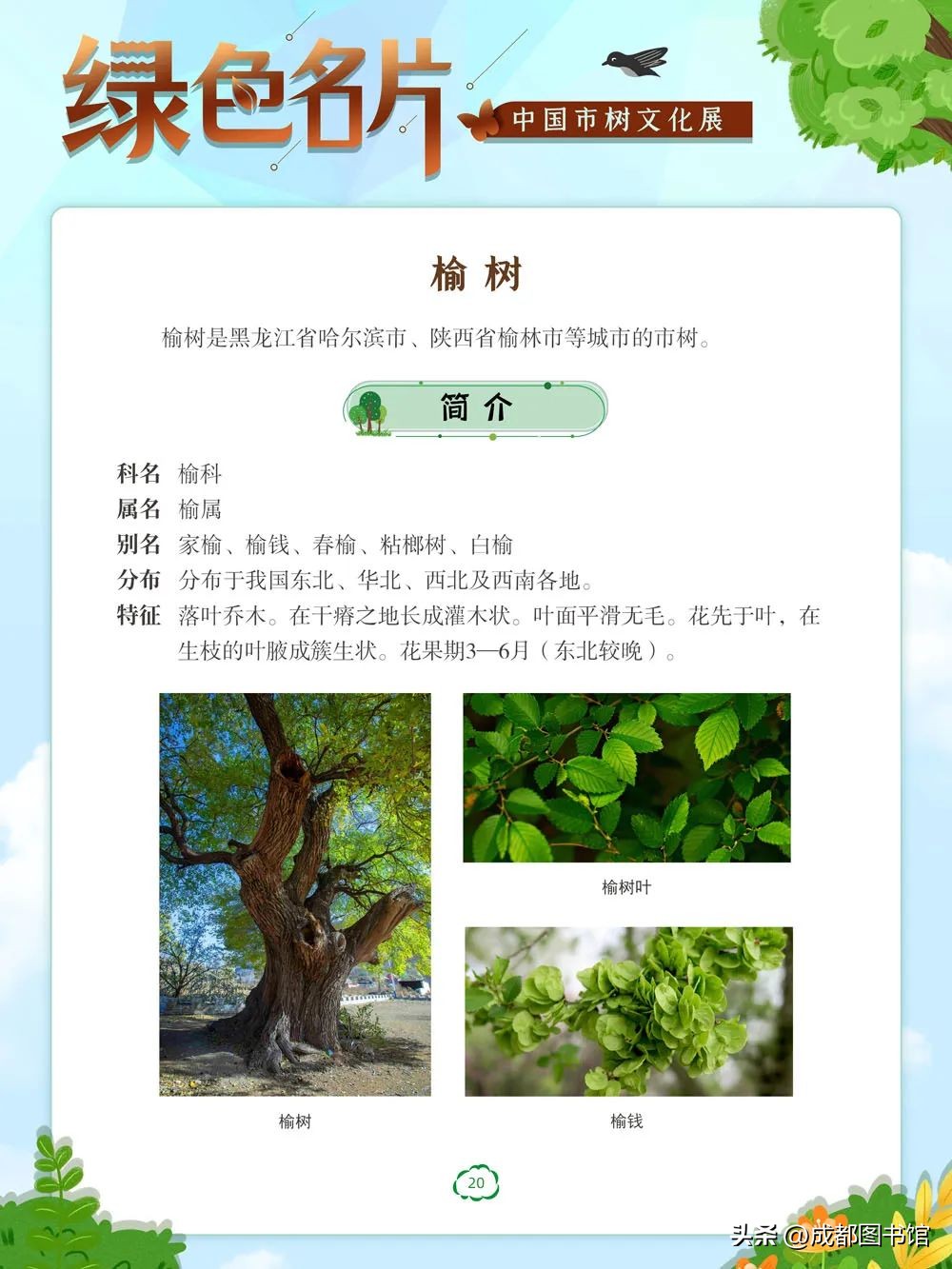 数字文化资源宣传,数字文化资源