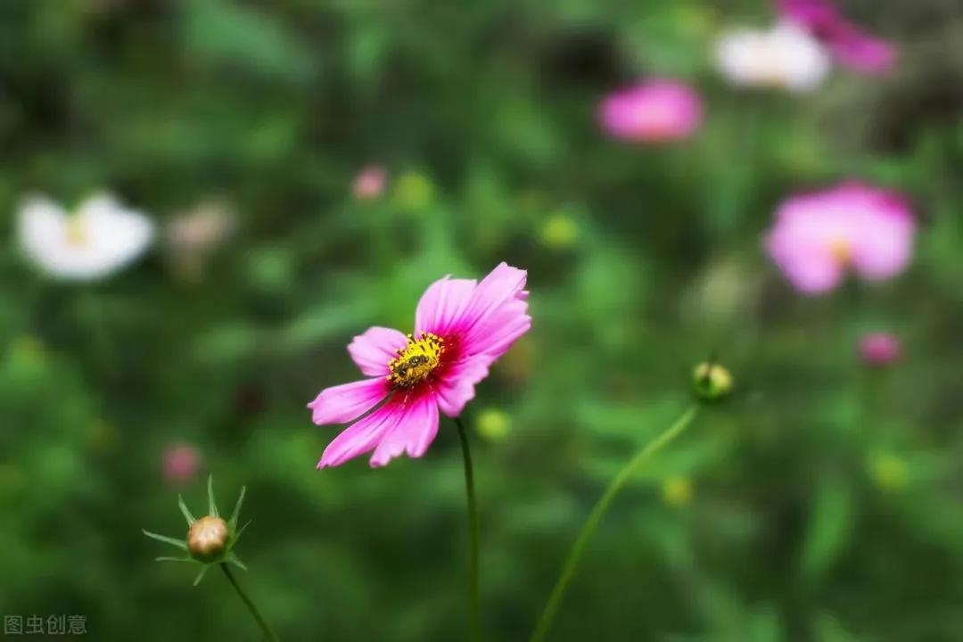 56岁阿姨陈述：老公中风后，日子反而过得比以前轻松自在了