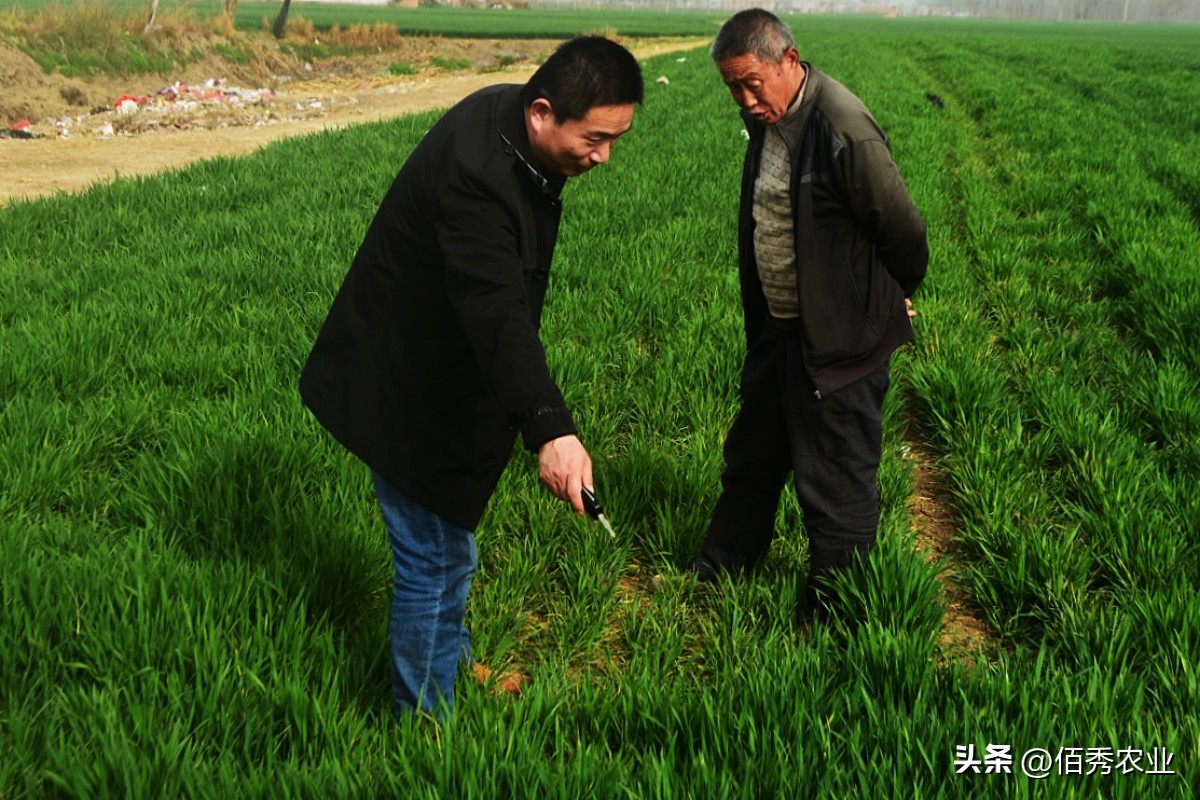 噻虫嗪是广谱杀虫剂吗,比噻虫嗪还好的杀虫剂