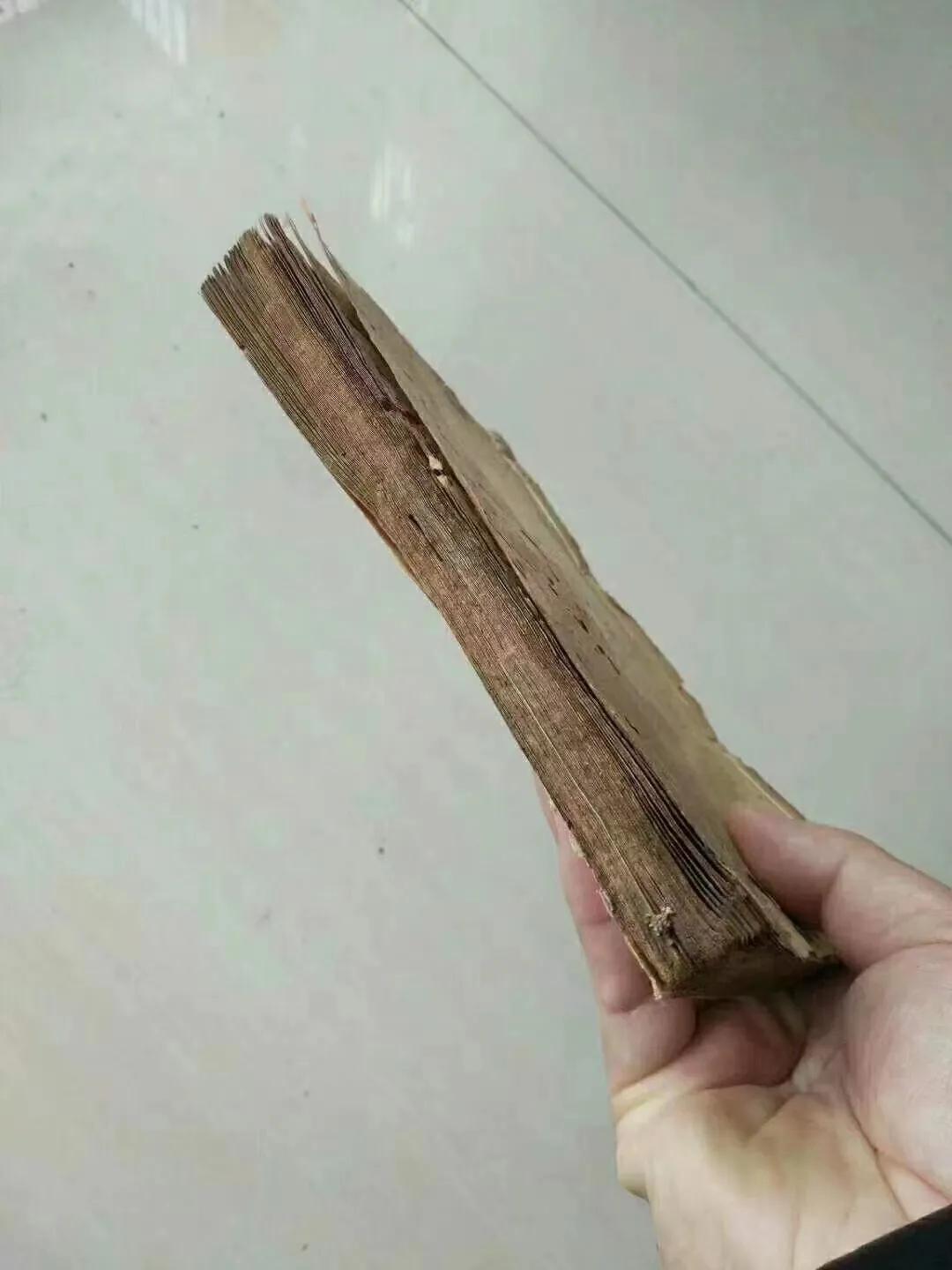 《楊公真傳地理秘籍》上册