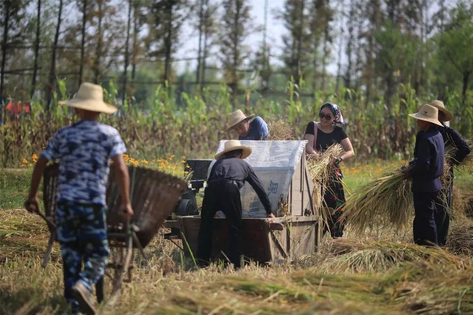 10个极具设计感的乡村改造,乡村创意改造景观
