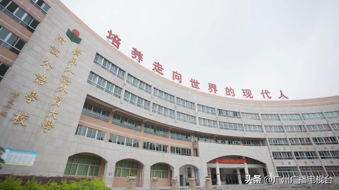 谈笑有鸿儒栏目采访,谈笑有鸿儒节目