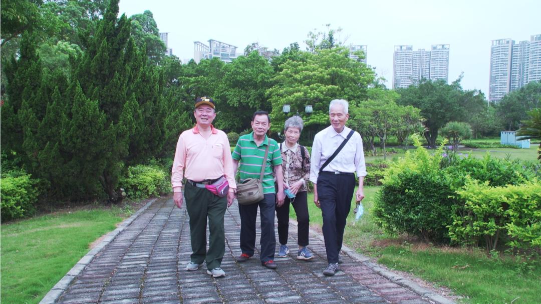 爱牙护牙健康知识优质课,爱牙护牙去哪里学习