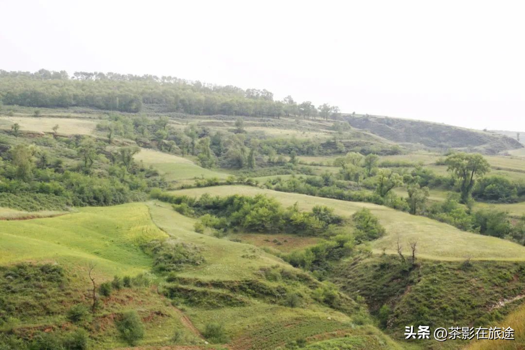 閫涢鍑鸿嚜鍝噷,閫涢