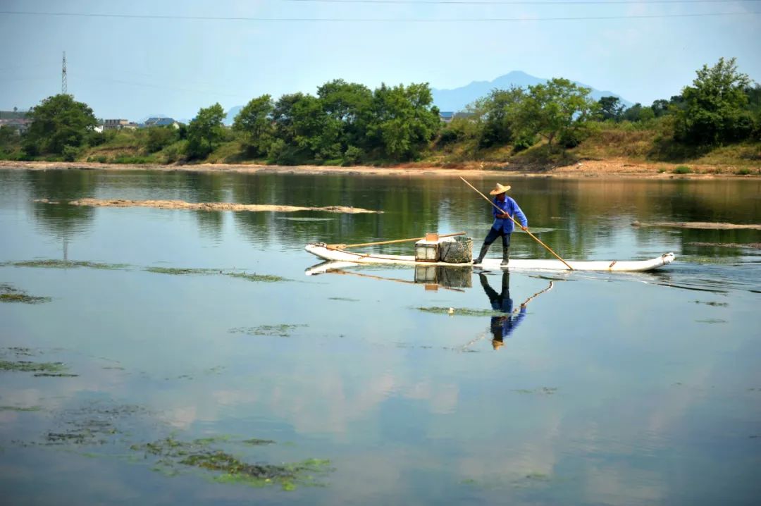 【上饶天下SHOW之铅山县】百年浮桥沧桑，百里信江画廊，辛弃疾巨雕缘何背城北望？