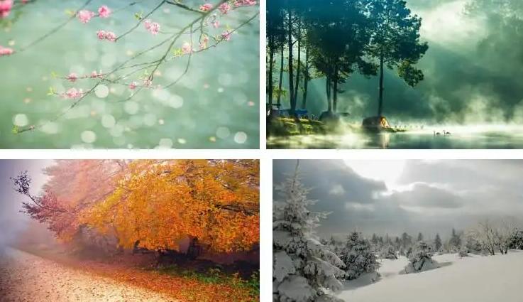 五行五种物质的特点,五行本质是什么