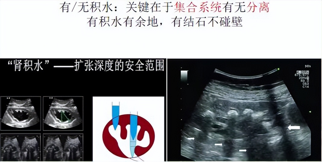 明知山有虎偏向虎山行神评论,明知山有虎偏向虎山行打一生肖