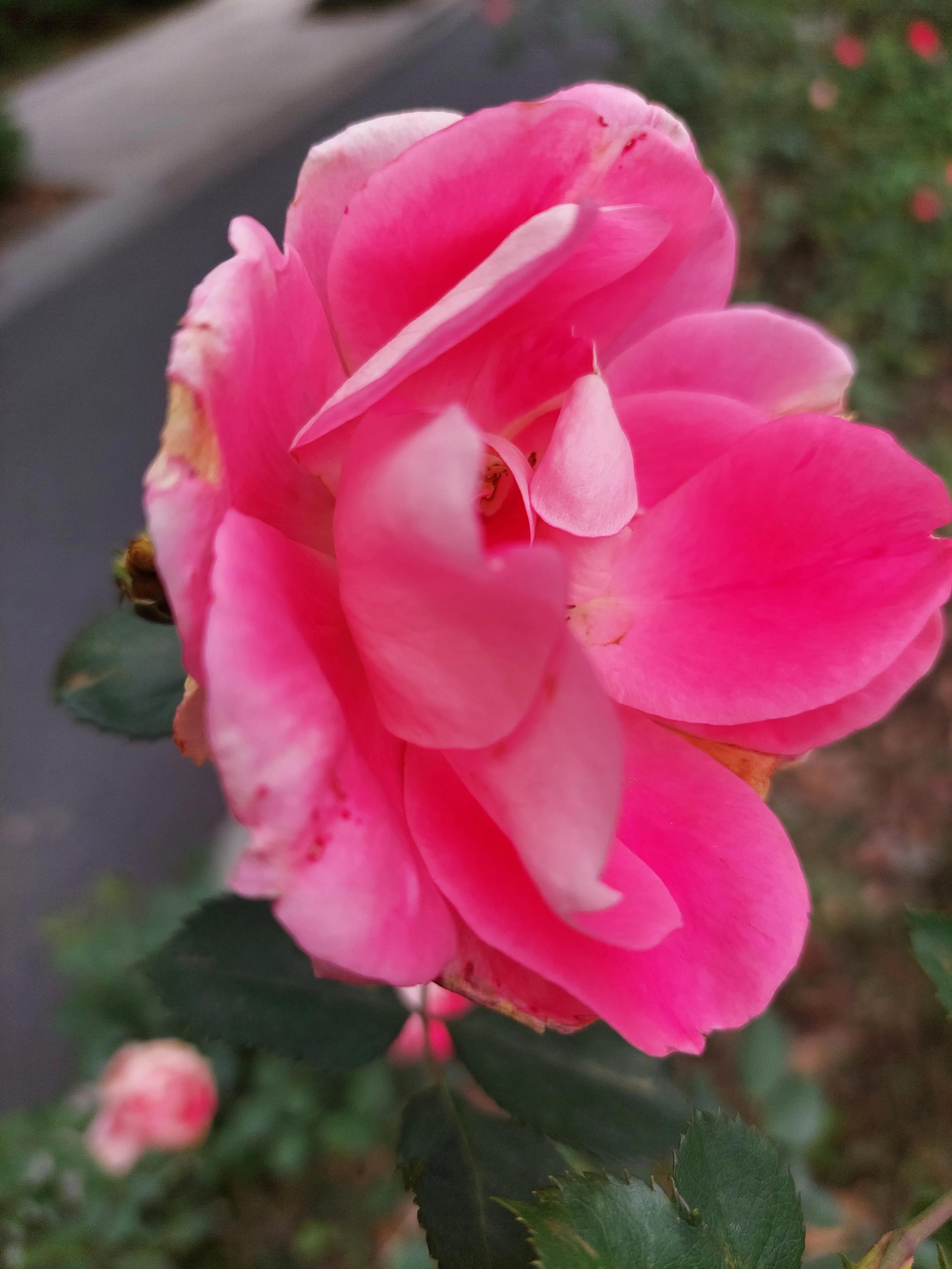 想要足球踢得好,想踢好足球要练什么