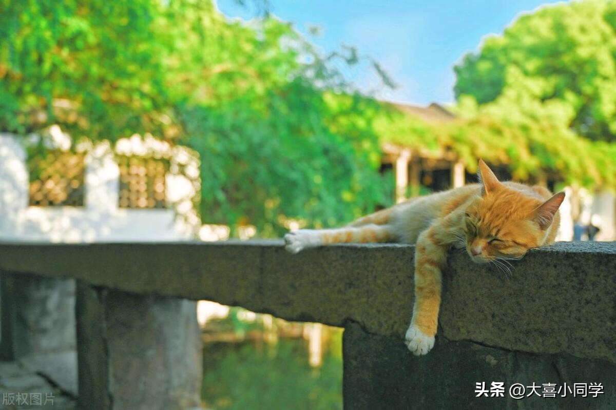 六月文案高级感有深度,三月高级文案干净治愈