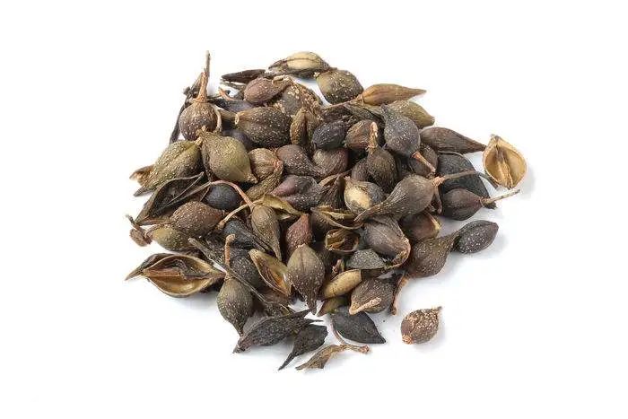 刘启泉治疗肝病,中医刘启泉简历