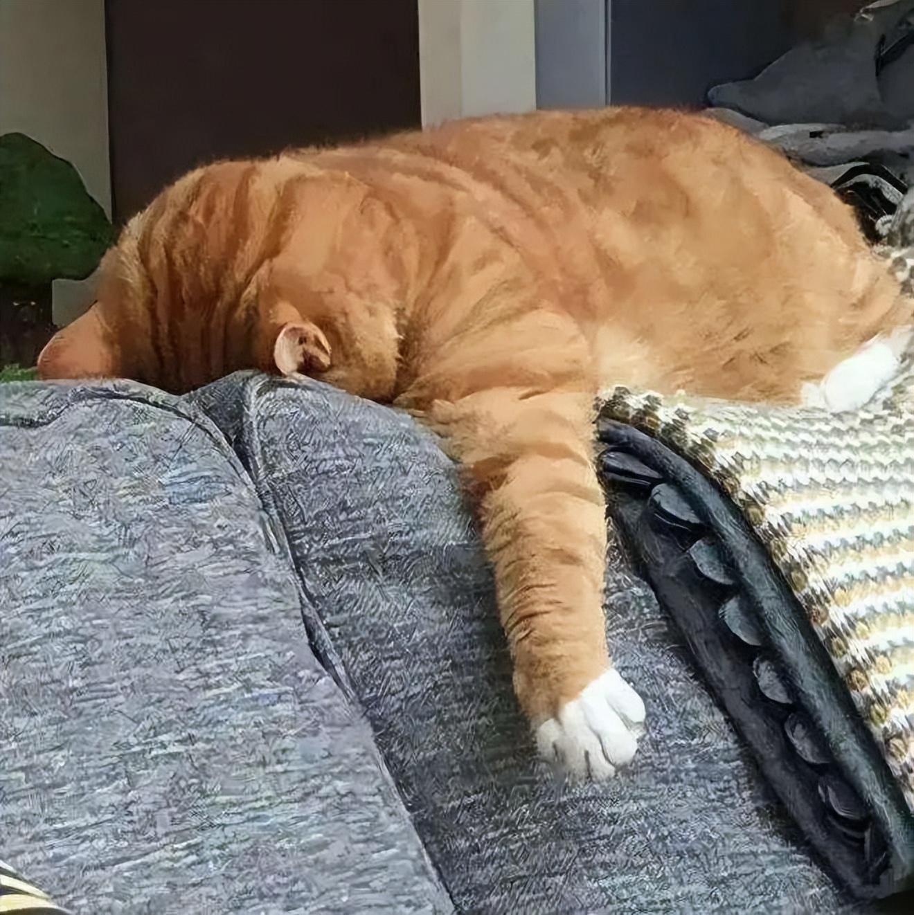 2023年十大网络热词排行榜,2022网络热词及解读