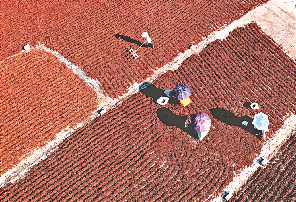 梧州新规划扩建规模,梧州新兴路改造