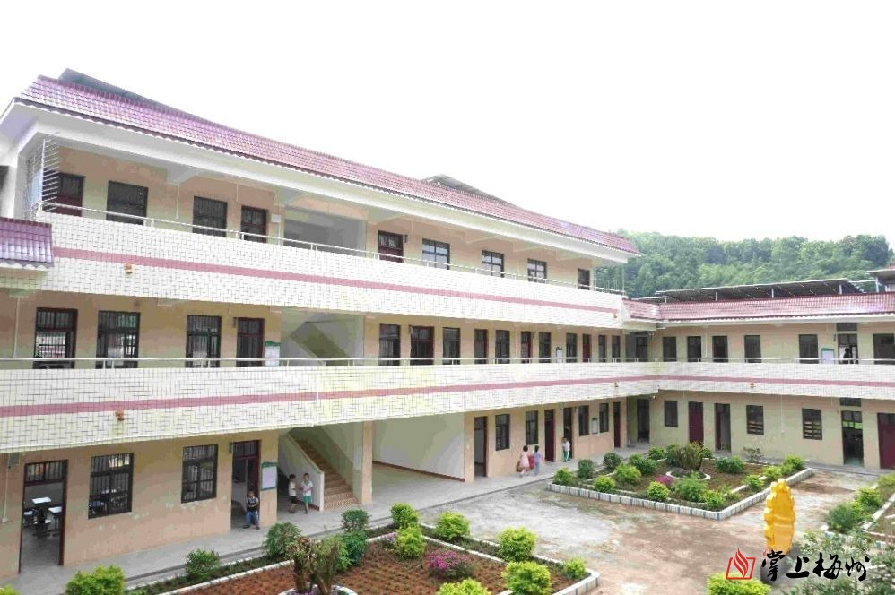 乡村振兴下的农村小学教育现状,助力乡村振兴特色学校建设