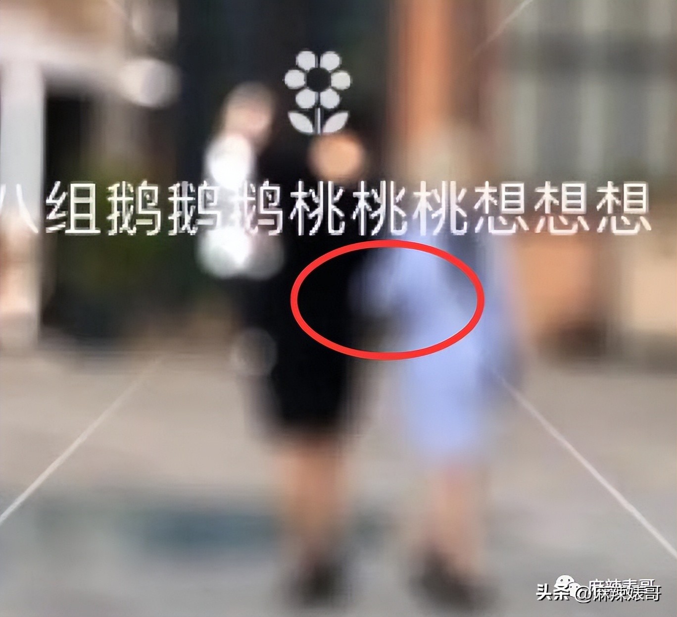 热带鱼cp是哪个,热带鱼cp是真的吗