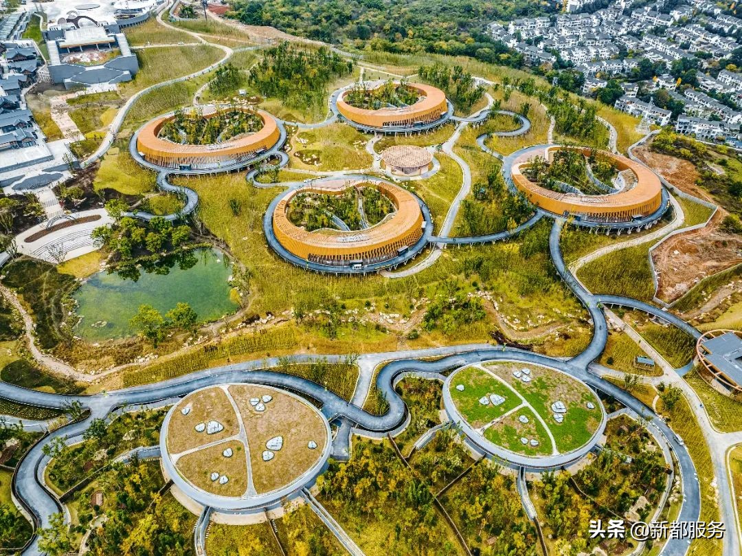 新都发展最好的地方,新都什么路练车比较合适