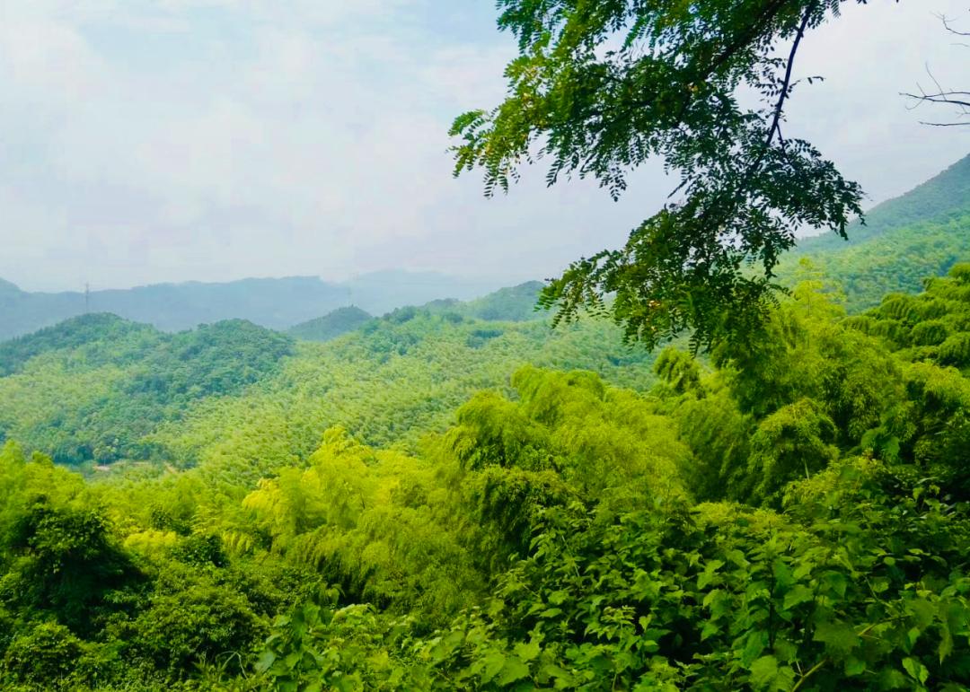 重庆长寿周围赏花旅游景点,重庆长寿旅游景点攻略