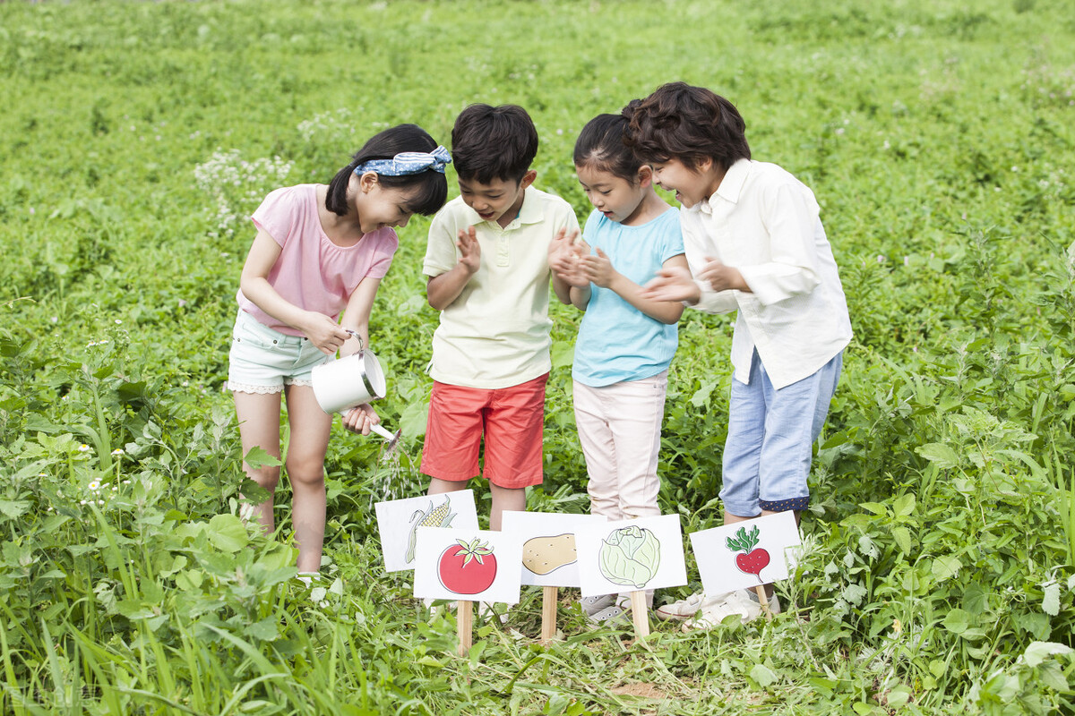 初二升初三暑假如何逆袭,初二如何利用好暑假准备初三