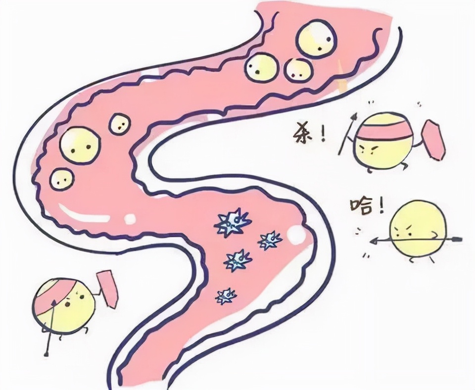 a型b型o型ab型哪种血型体质好,a型b型ab型o型哪种血型的人素质好