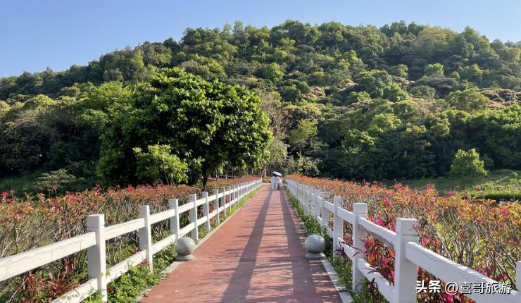 广东南沙区自驾游营地,南沙区自驾游路线