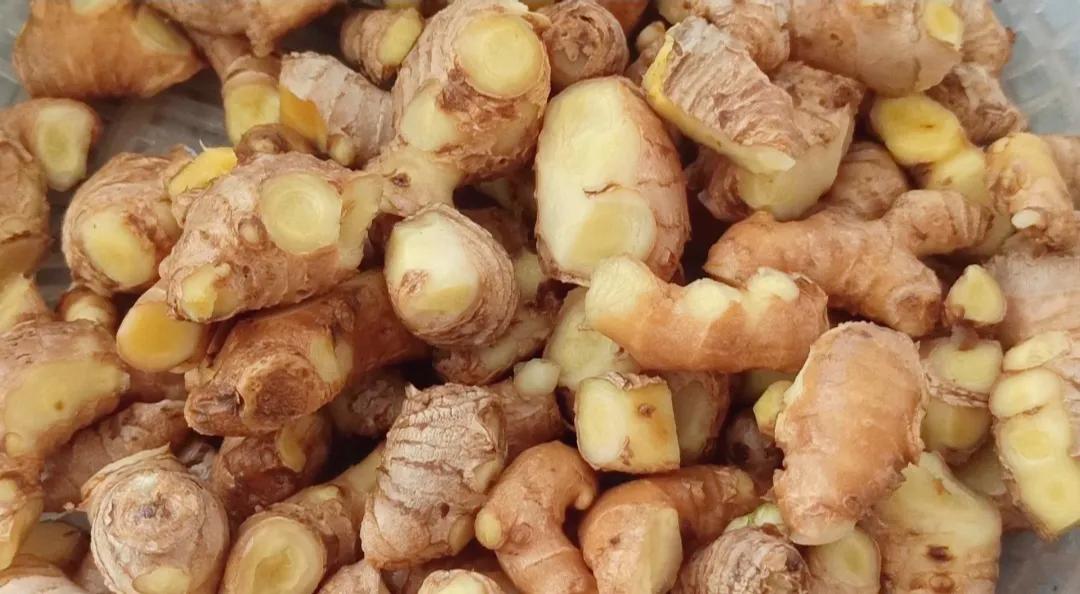 生姜能晒成干姜吗,生姜放蔫了还能吃吗