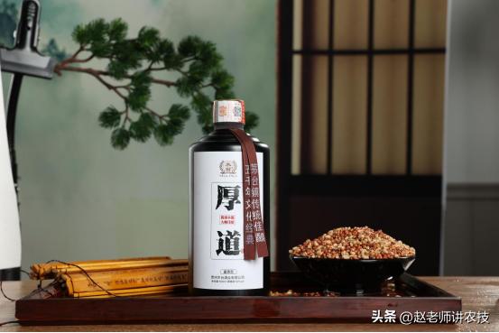 农村大集上10元1斤的散酒能喝吗,农村自酿散酒为什么便宜