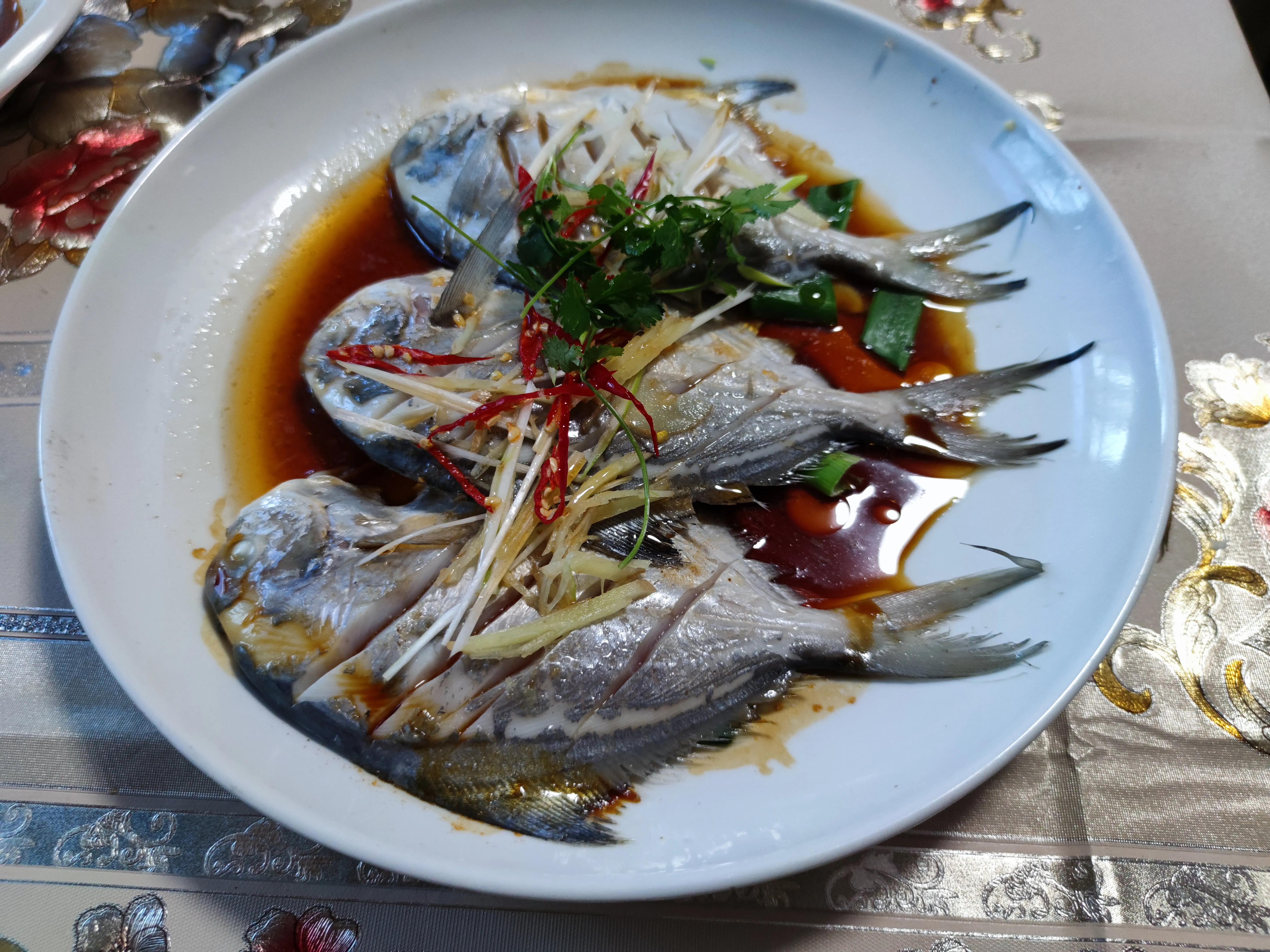 这个季节野生的海鱼有哪些,现在季节吃的海鱼有什么品种