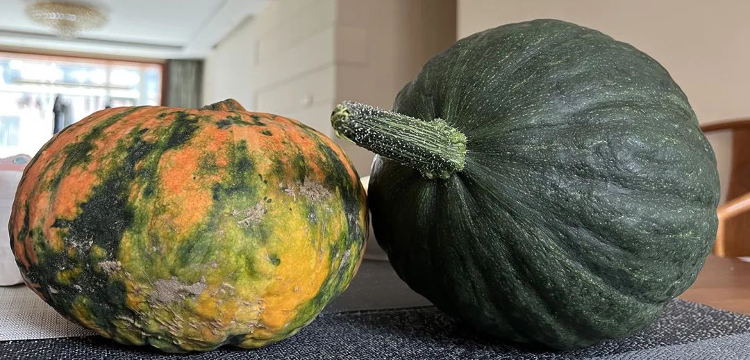 又到做西红柿酱的季节,什么季节做西红柿酱呢