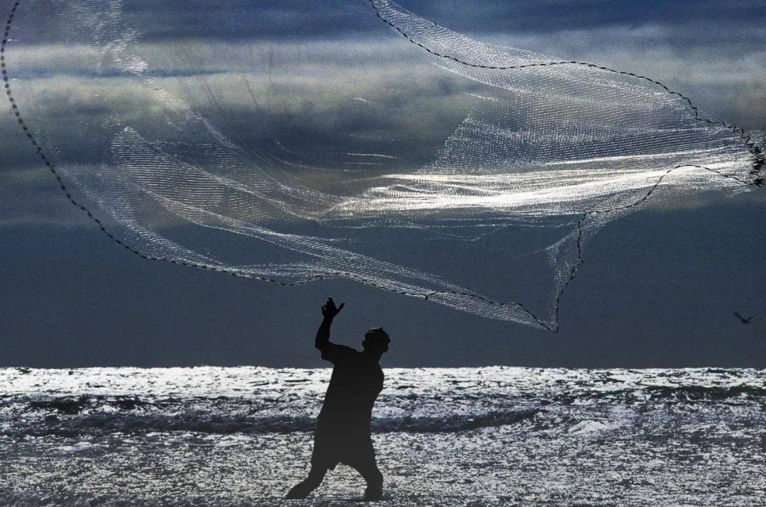 中国第19届国际摄影艺术展览征稿,第十八届中国国际摄影艺术展评选