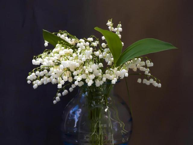 射手座不搭理你的四点原因,拥有较多人生选择的人,不会受限