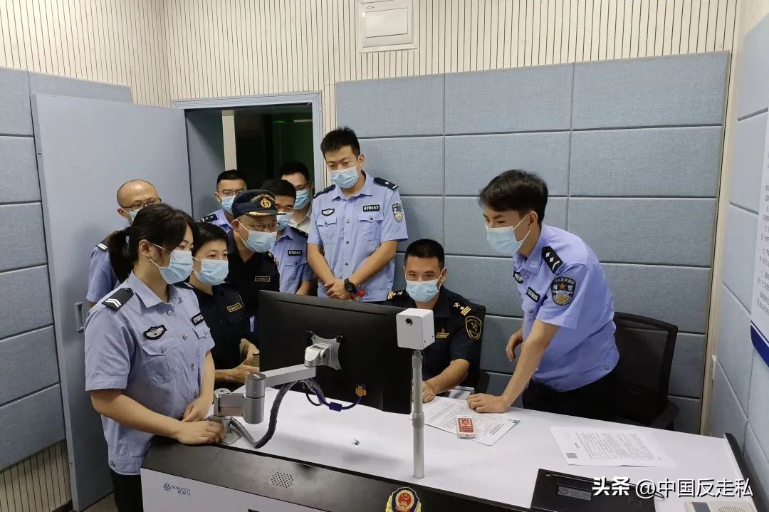 湛江海关缉私局走私最新新闻,湛江海关缉私事件