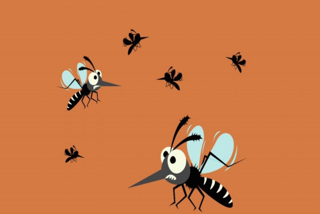 北极圈出现了38度罕见高温,北极圈温度升高到38度