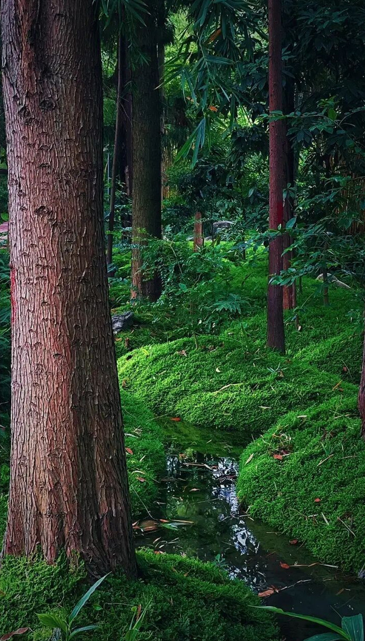 成都上新被施了魔法的“无蚊公园”!逛朋克风夜市、奇异洞穴书店