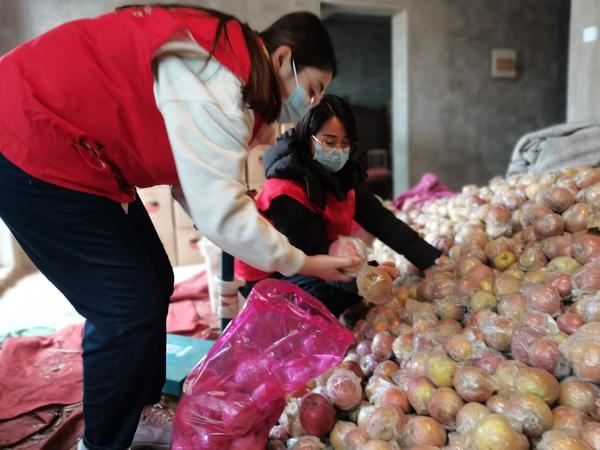 苹果滞销老农,老农万斤苹果滞销