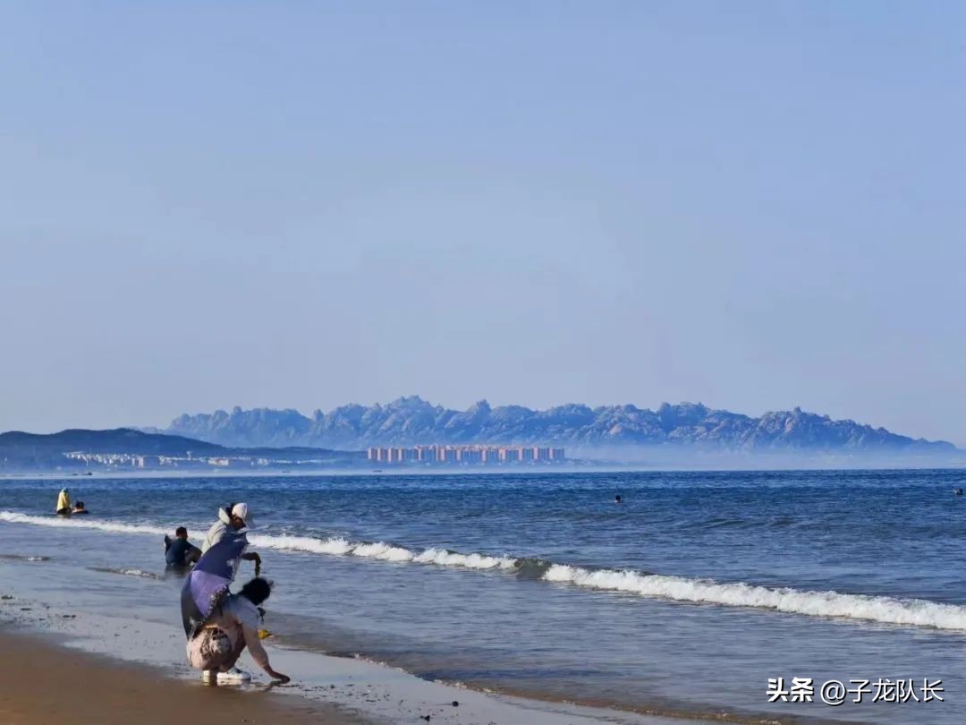 威海到青岛之间哪个地方赶海最好,青岛海边哪个海滩最好玩适合赶海