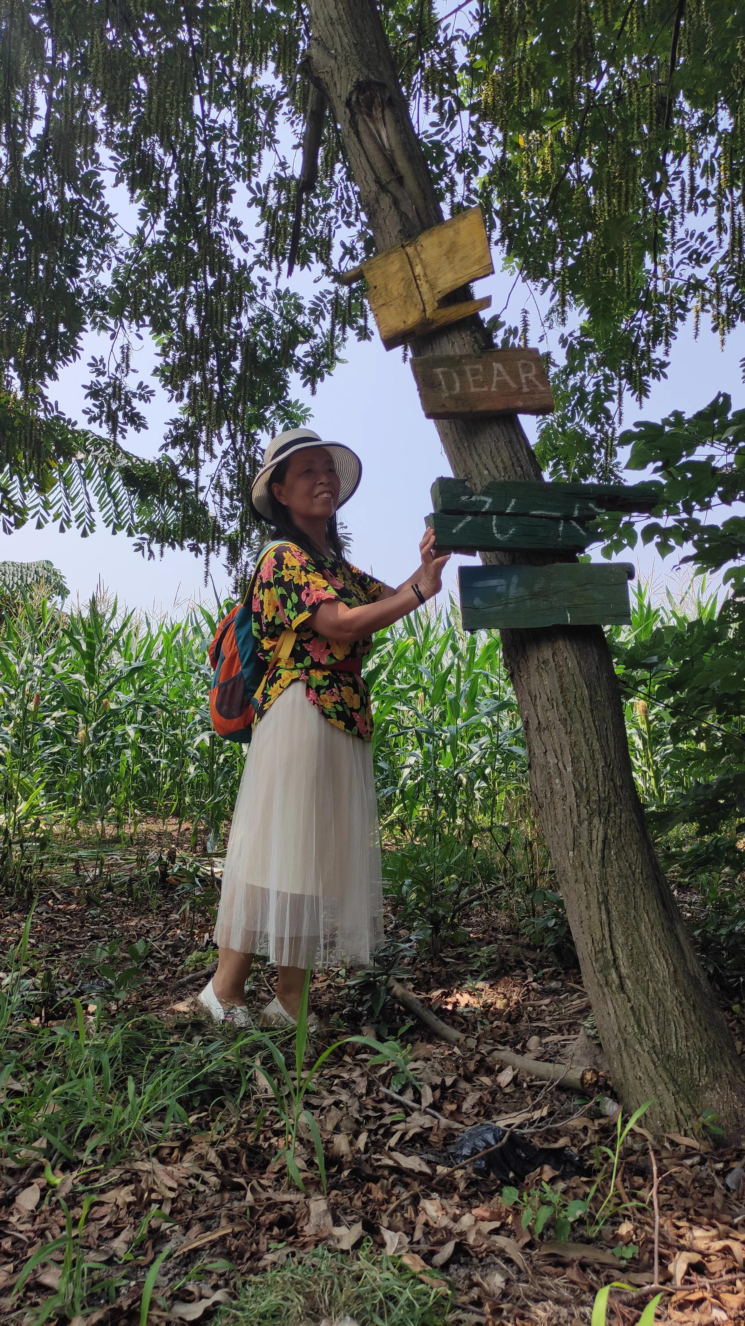 乐山金沙半岛烧烤,乐山金沙半岛图片