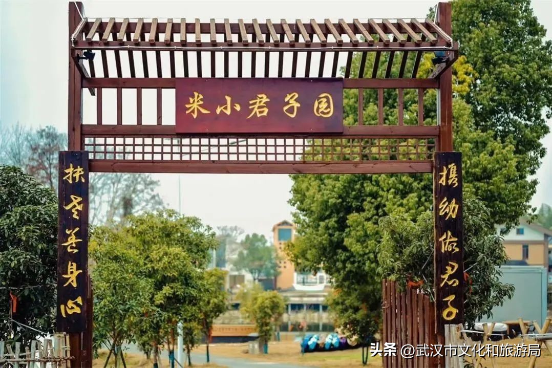 端午江夏旅游攻略,端午节江夏哪儿玩