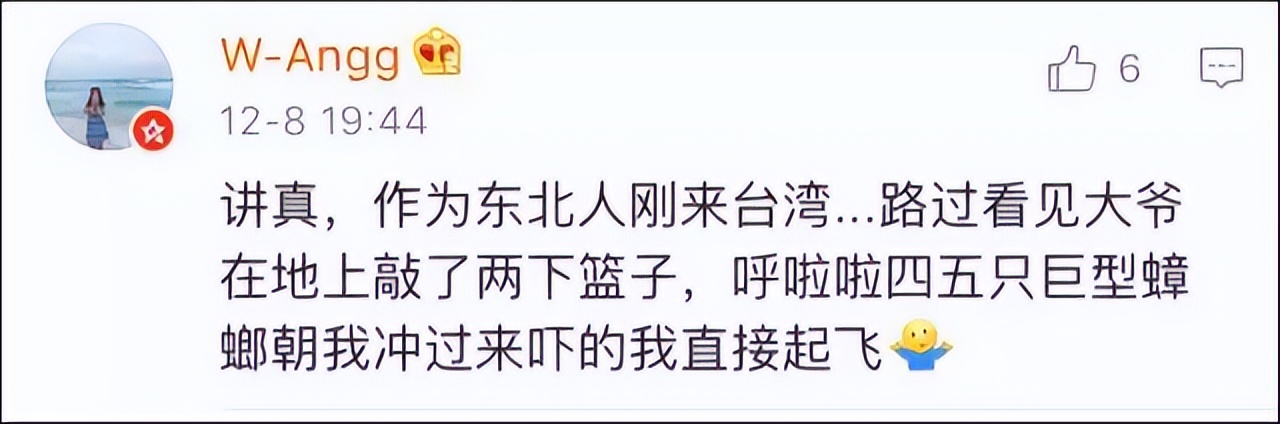 杀死蟑螂的100多个方法,杀死蟑螂的100种办法