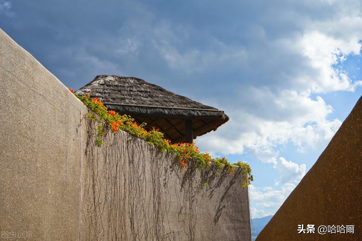 *藏西**的第二站大理