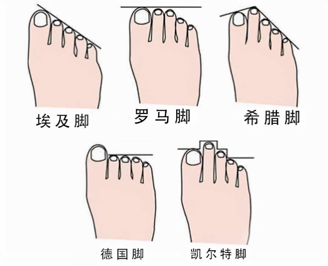 选一双合脚足球鞋,选啥品牌足球鞋